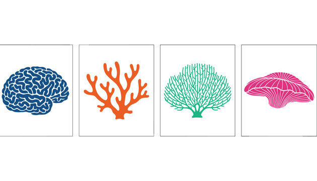 Stylized marine biology illustration depicting brain coral, colorful sea corals, and sea sponges in simple frames.