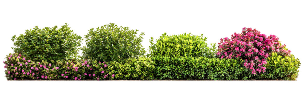 A horizontal row of various green shrubs and bushes with some pink flowers, isolated on a white background, for landscaping and, garden png. ai generated isolated on a transparent background