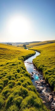 Sunlit meadow landscape with long river flowing through, trees, tranquil