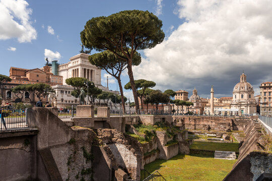 The Imperial Forums with umbrella pines and the Vittoriano, Rome, Italy