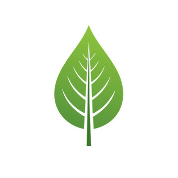 Green leaf vector icon with stem and veins