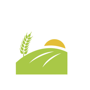 Wheat Field Nature Icon