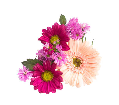 Colorful Flower Ornament for Wedding Invitation Transparent Background