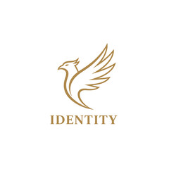 Fototapeta premium Gold eagle line art logo with identity text.
