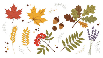 Autumn leaves and berries 2D Vector Illustration with acorns and plants © Stock Image Paradise
