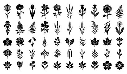 Fototapeta premium Stylized Floral Silhouettes Collection with Black Flower and Botanical Plant Vector Set