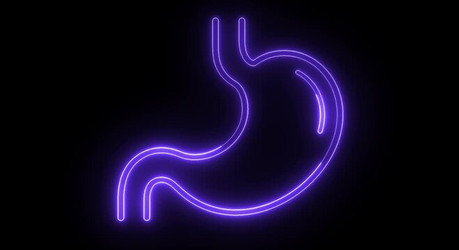 Neon Human Stomach Anatomy Icon on Black Background, Glowing Digestive System Medical Illustration