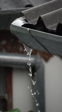 Clogged broken rain gutter, dirty roof gutter, with wet fallen leaves.