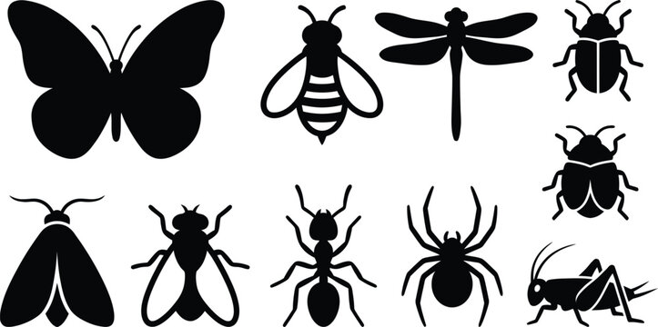 Collection of black silhouette insects: butterfly, bee, dragonfly, beetles, moth, fly, ant, spider, grasshopper