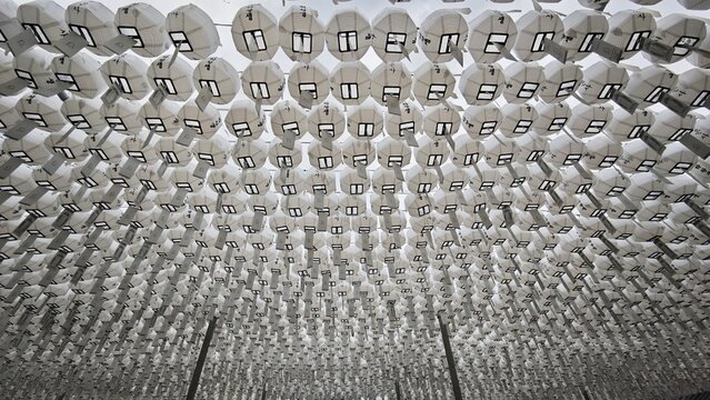 Hundreds of white paper lanterns arranged in symmetrical rows at a Buddhist temple, creating a striking geometric pattern in South Korea.