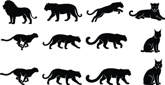 Big wild cats silhouettes vector set including lion tiger panther cheetah and lynx icons isolated on white