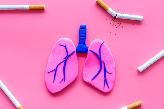 Harm of smoking and cancer. Lungs and cigaretts on pink background top view
