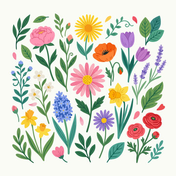 A collection of colorful spring flowers arranged on white background