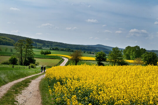 Spaziergang im Gr&uuml;nen