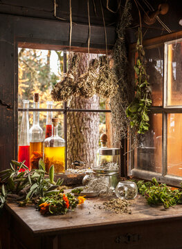 Herbal oils and various herbs sit on a wooden table in an old hut
