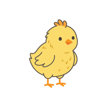 Cute little yellow baby chick standing.