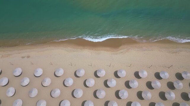 Top Down Aerial View of Beach Umbrellas on Sandy Coast and Sea
