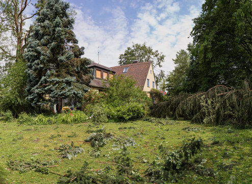 Storm damage in a garden of a family home