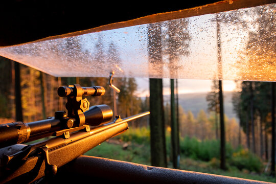 Germany, Bavaria, view from highstand of hunter with aiming gun