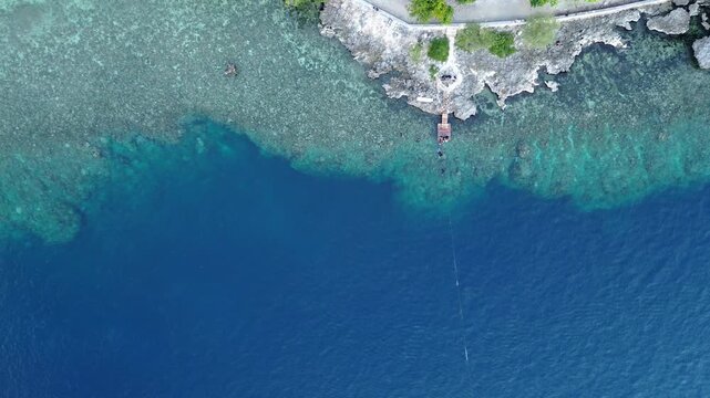 Aerial View of Tropical Coastline and Clear Blue Water