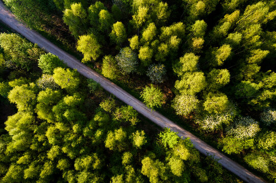 Germany, Baden-Wuerttemberg, Swabian Alb, Fils Valley, Aerial view of Schurwald in spring