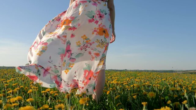Young woman wearing light floral patterned summer dress walking through blossoming field of yellow dandelions on sunny day. Wind gently blows her hair and the fabric of female dress. Shot in motion