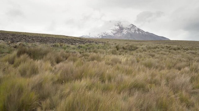 Scenic view of Chimborazo volcano and p&aacute;ramo grasslands showcasing Ecuadorian landscapes