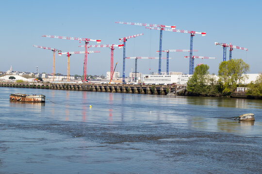 Ensemble de nombreuses grues rouges et bleues sur fond de ciel pour un chantier de construction de b&acirc;timents au bord d'un fleuve. Ile de Nantes devant la Loire