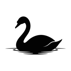 Black swan silhouette, bird icon, water animal, vector illustration isolated on White Background © sejanahamed