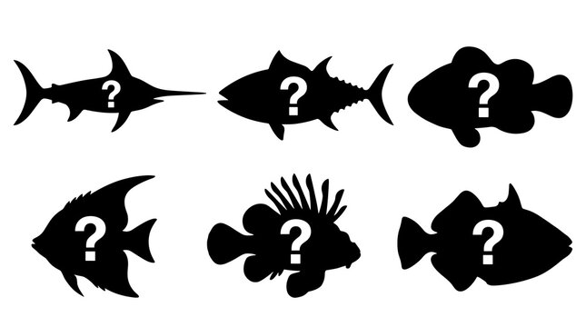 Silhouettes of six different fish species with question marks, representing unknown marine life or identification challenges