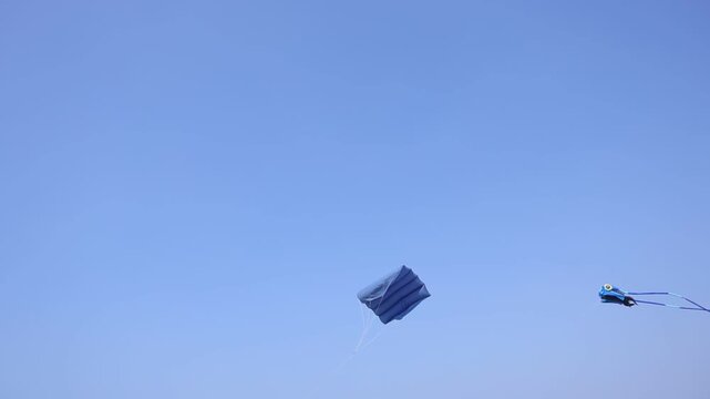 Two vibrant kites floating gracefully against a bright blue, cloudless sky. A triangular blue kite and a unique octopus-shaped kite with long tails captured from a low angle during a summer festival.