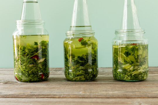 Preserving leaf vegetables (from left to right):  radish leaves with some roots, leaf turnip 'Namenia', broccoli rabe (rapini), lacto-acid fermentation. Copy space. 