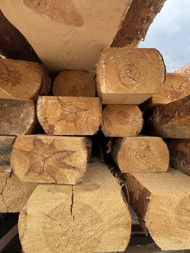 Low angle view of timber logs piled up at construction site or sawmill