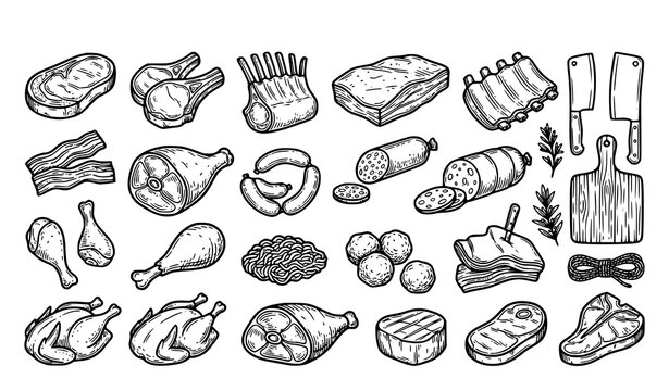 Hand Drawn Butcher Meat Collection with Beef Chicken Pork Steak Ribs and Kitchen Food Sketch Elements