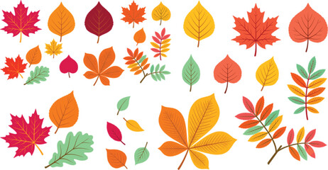 Fototapeta premium Beautiful Autumn Fall Leaves Mega Bundle Graphic Elements Vector Icon Set