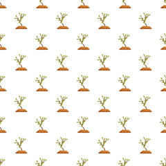 Fototapeta premium Small green plant saplings growing from brown earth in a repeating pattern