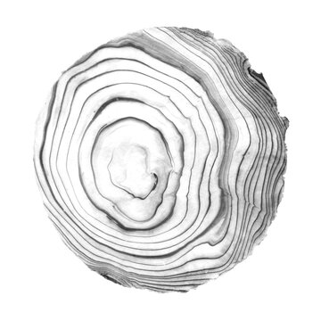 Circular design in Suminagashi, i.e. Floating Ink, Traditional Japanese Marbling technique