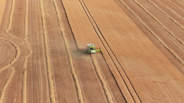 Combine Harvester Cutting Golden Wheat in Vast Farm Field at Daytime