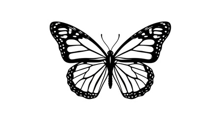 Monarch butterfly silhouette on transparent background © Mehrun