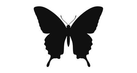 Butterfly silhouette on transparent background © Mehrun