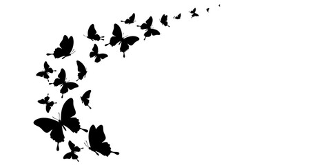 Flying butterflies silhouette on transparent background © Mehrun