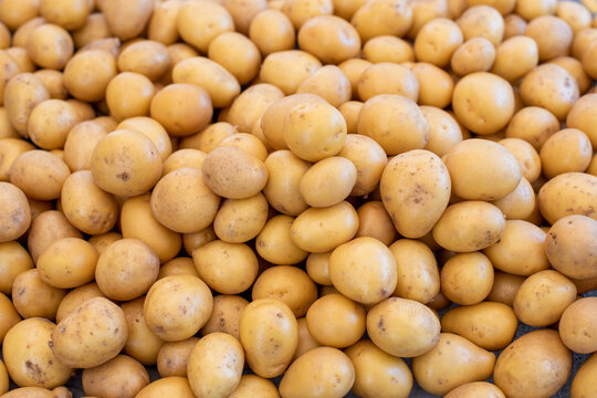 Pile of fresh washed potatoes close up