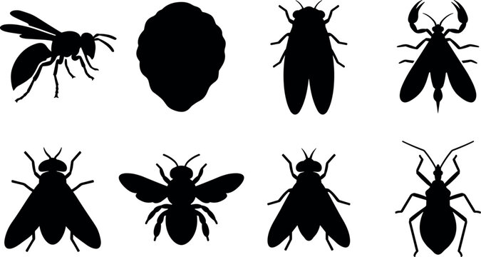Flying and stinging insects vector silhouettes collection featuring wasp hornet nest bee fly and kissing bug icons