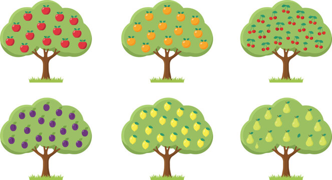 Collection of fruit trees with apples oranges cherries plums lemons and pears in a flat vector illustration style