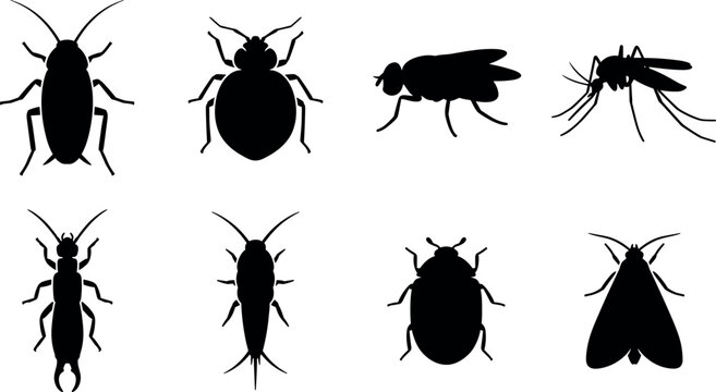 Household pests and common insects vector silhouettes collection featuring cockroach bed bug mosquito and fly icons