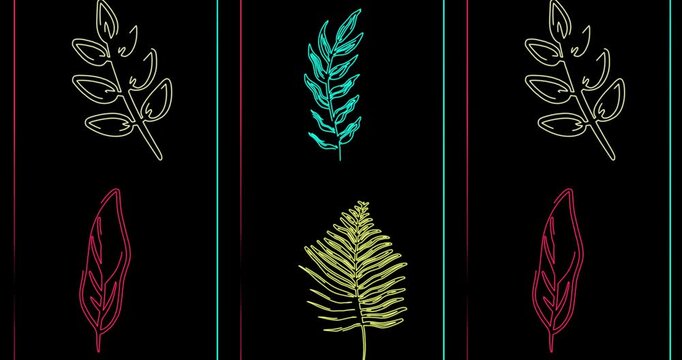 seamless floral pattern. Stripe tropical leaves 1. Summer background visual loops. 4K