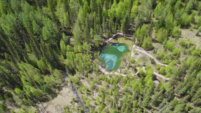 Aerial top-down view of emerald geyser lake with visitors walking along curved boardwalk through spring forest canopy, vivid turquoise vents, rocky rim, marshy grass