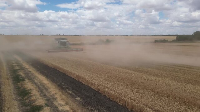 Drone footage capturing multiple combine harvesters harvesting a vast wheat field in coordinated formation during the summer harvest season