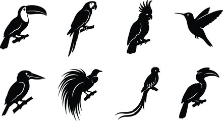 Tropical Exotic Bird Silhouettes Set Macaw Toucan Hummingbird © Rina