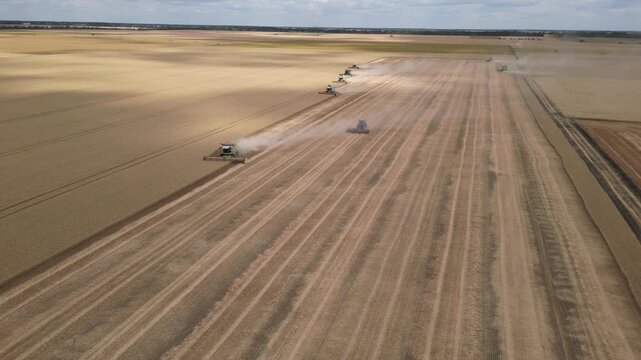 Drone footage capturing multiple combine harvesters harvesting a vast wheat field in coordinated formation during the summer harvest season